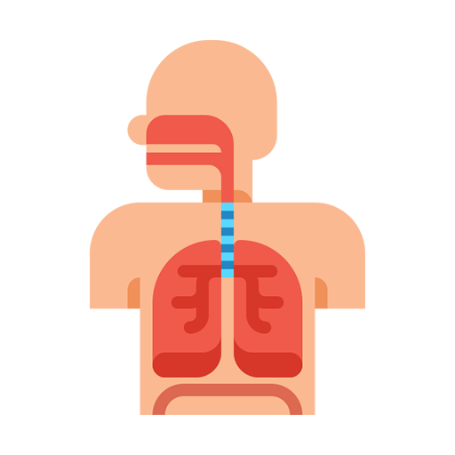 Respiratory Diseases